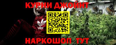 индика Донской