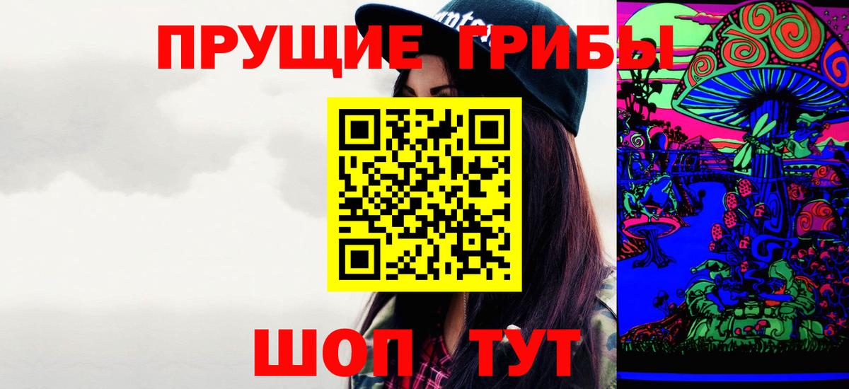 Псилоцибиновые грибы Psilocybe Ноябрьск